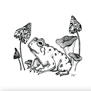 Art print for home decor of a black and white abstract line drawing of an image of a a frog sitting between mushrooms.